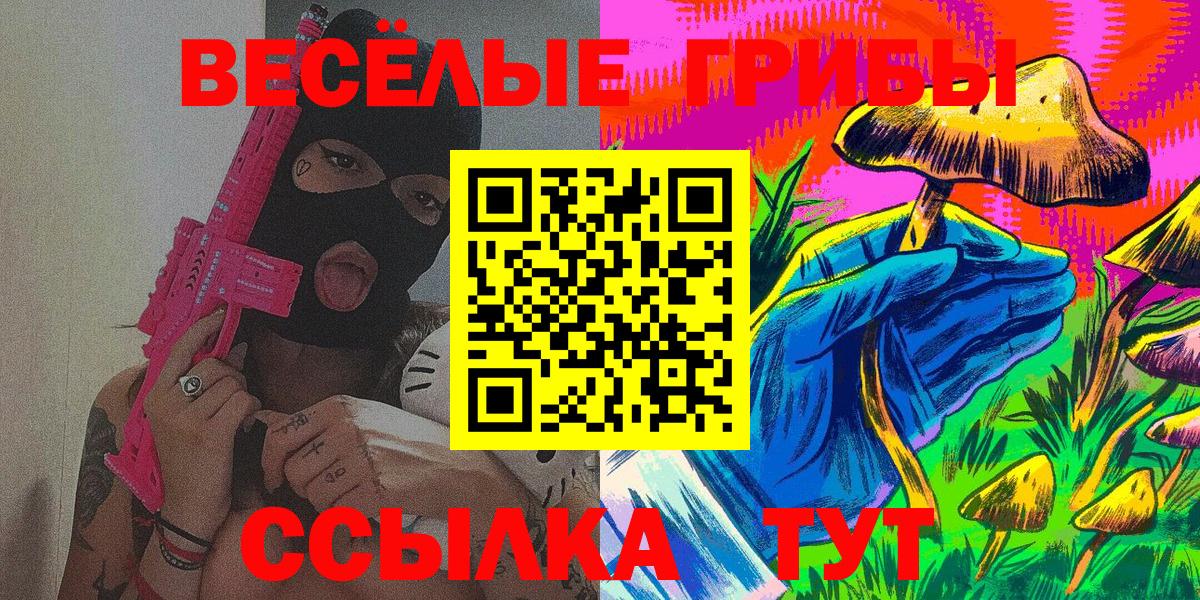 Псилоцибиновые грибы Psilocybine cubensis Зеленодольск