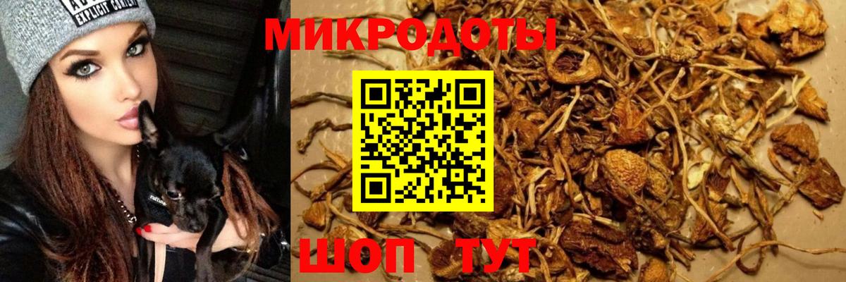 Псилоцибиновые грибы мицелий  где продают наркотики  Зеленодольск  Вход с VPN 
