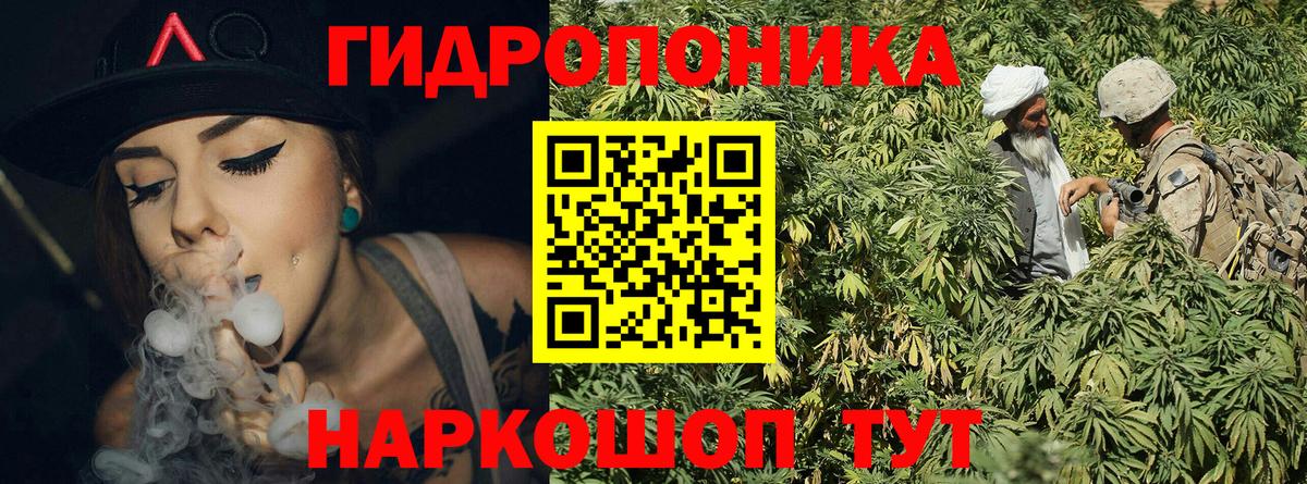 Зеленодольск  Конопля White Widow  Каннабис White Widow  Вход с VPN 